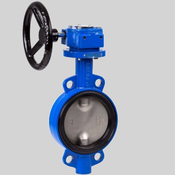 Double eccentric butterfly valve
