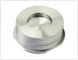 Single door wafer check valve