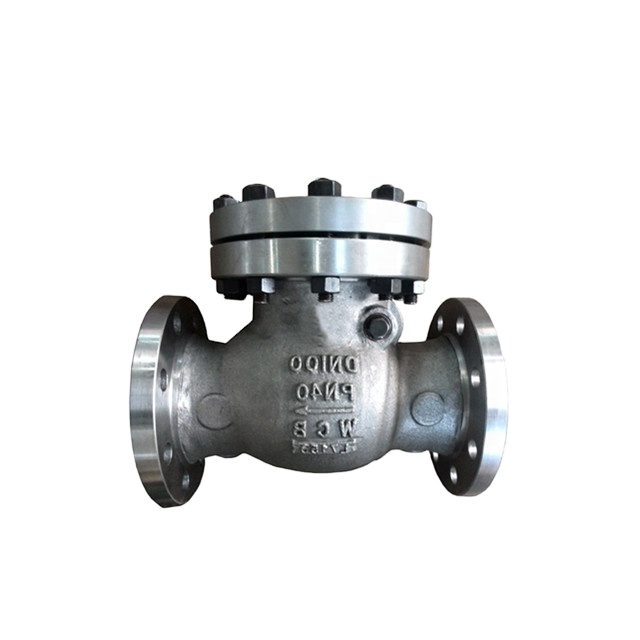 Swing check valve